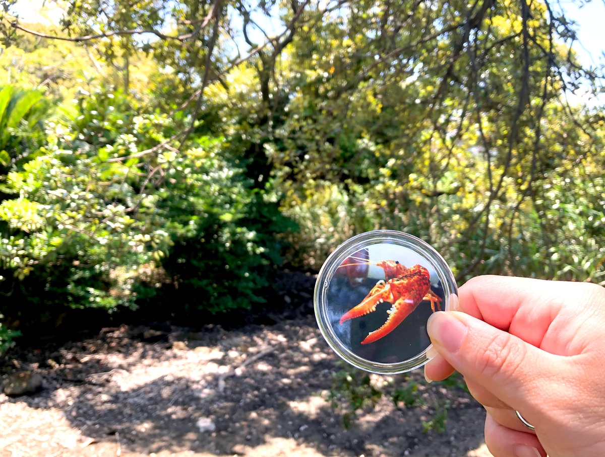 (キャプション自動取得対象外)