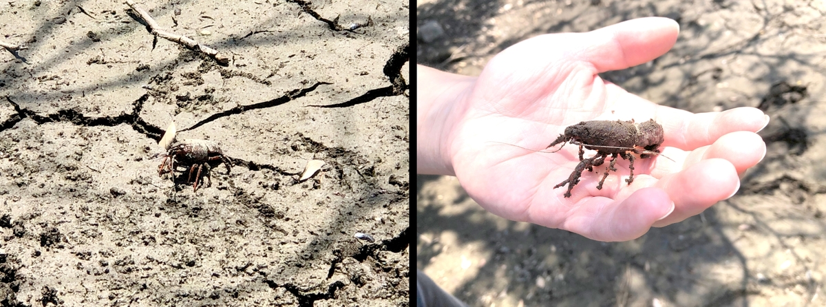 (キャプション自動取得対象外)