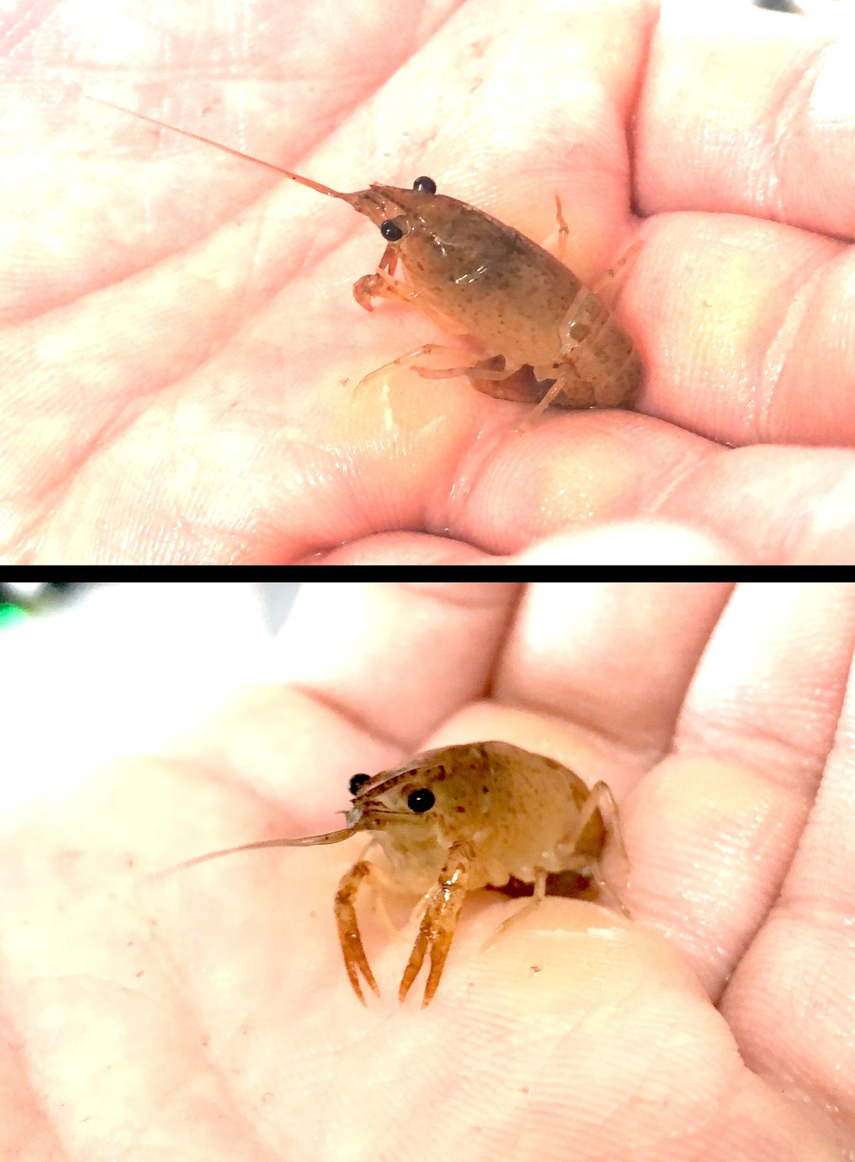 (キャプション自動取得対象外)