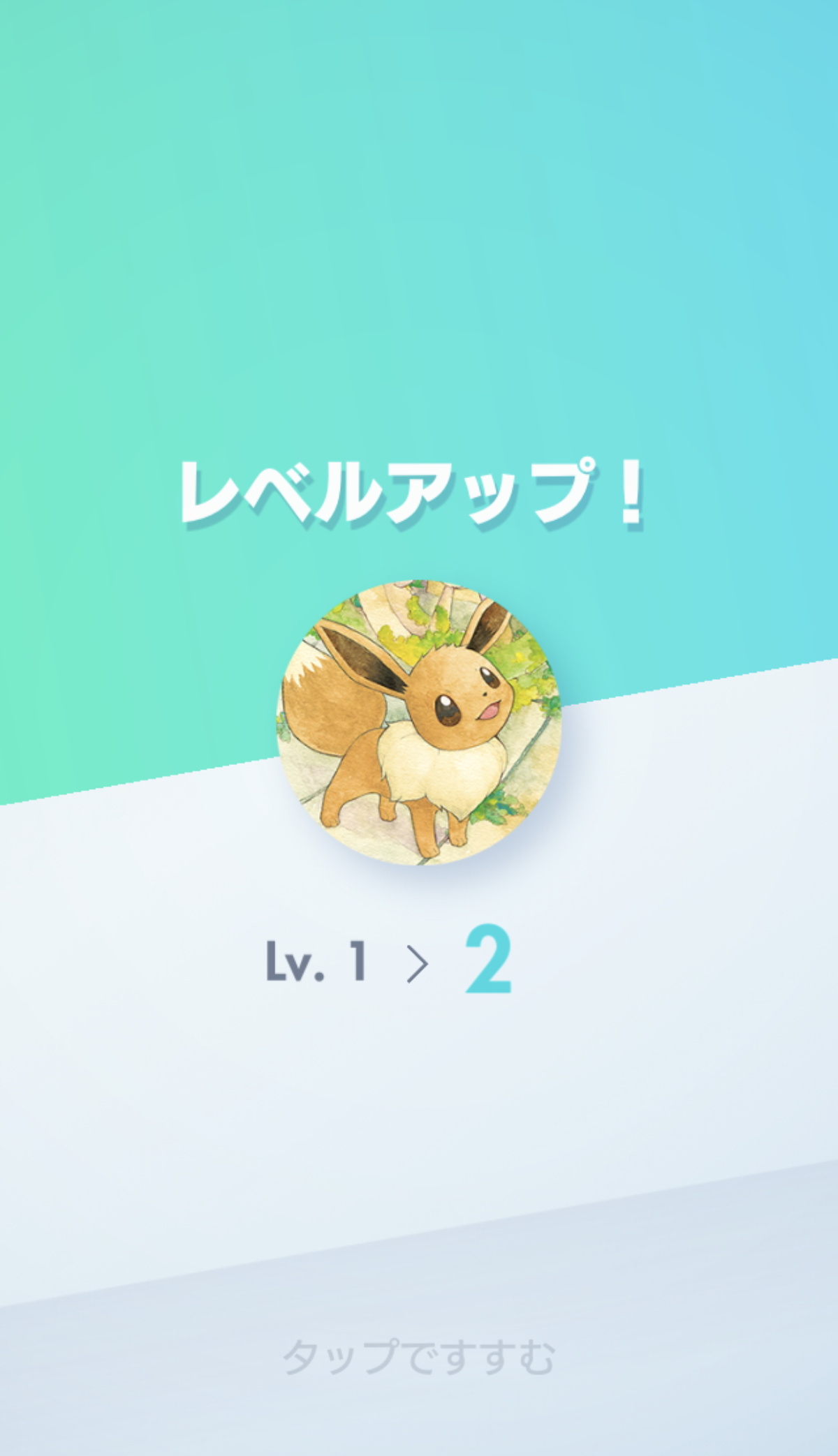 (キャプション自動取得対象外)