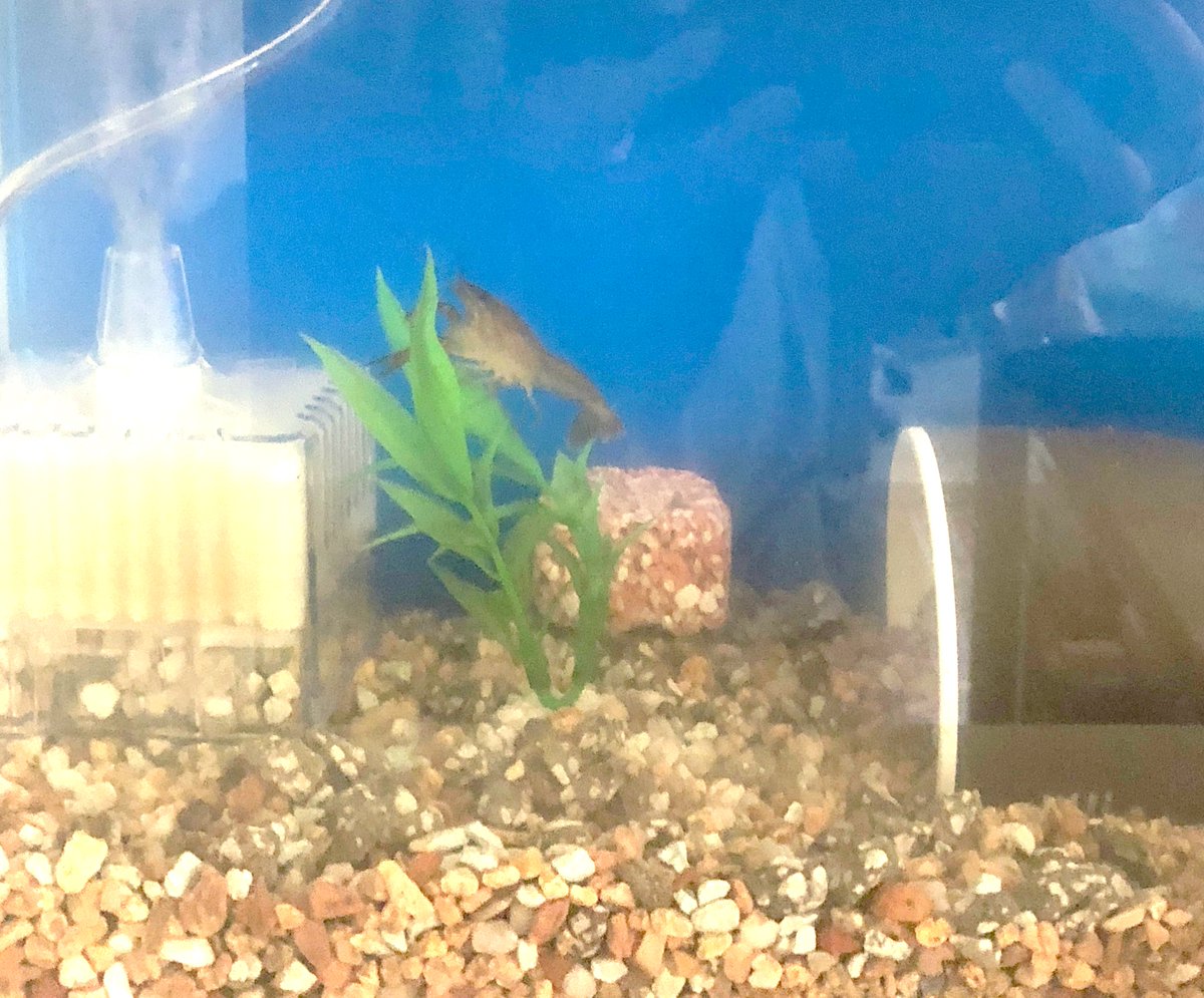 (キャプション自動取得対象外)