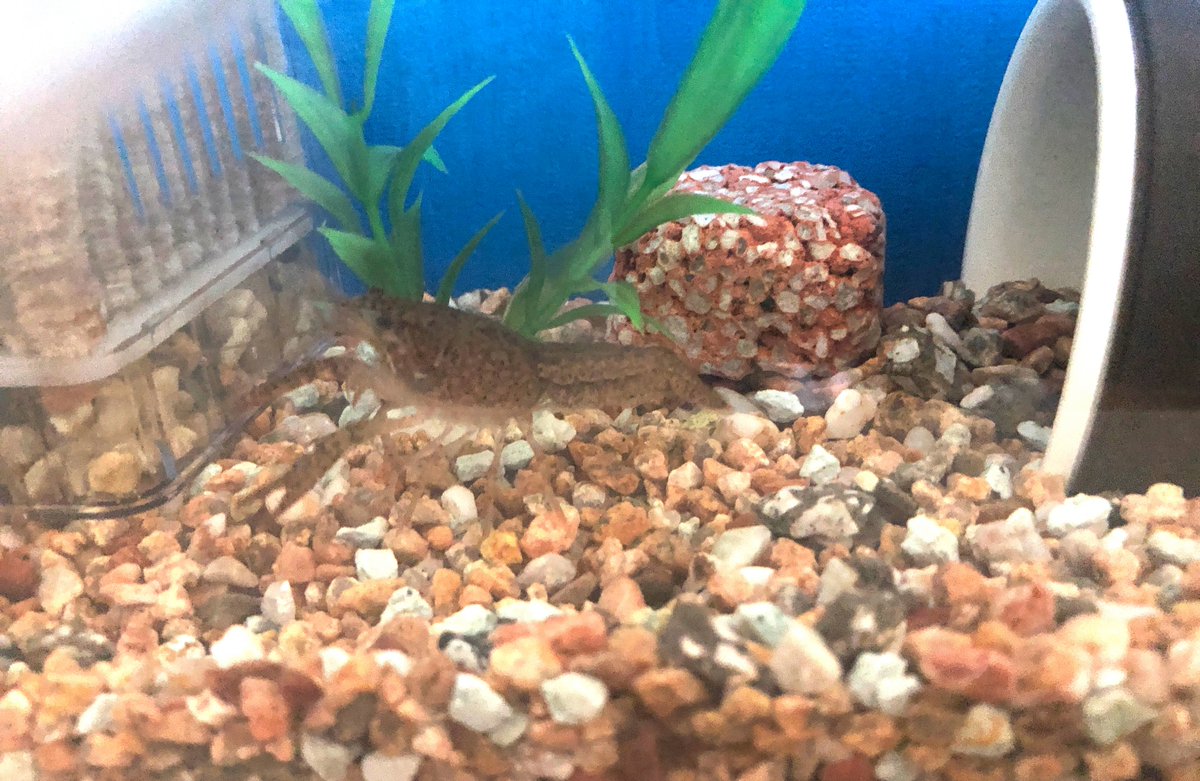 (キャプション自動取得対象外)