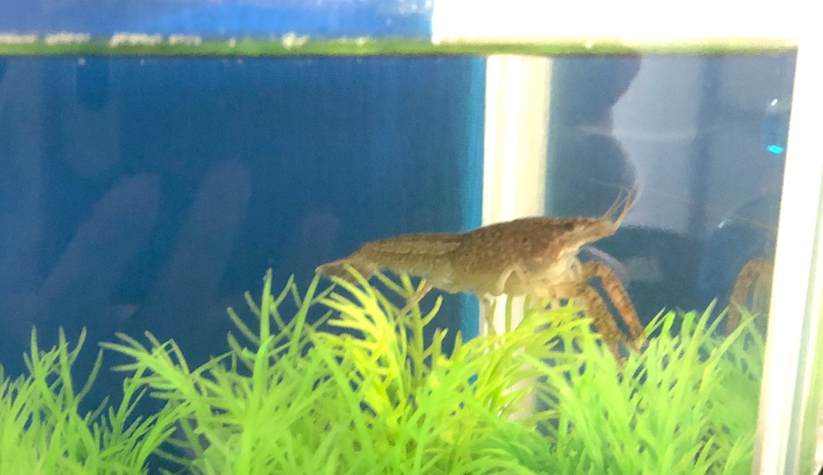 (キャプション自動取得対象外)