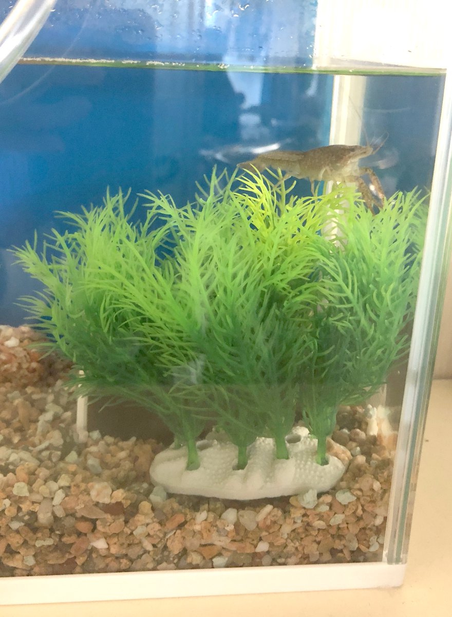 (キャプション自動取得対象外)