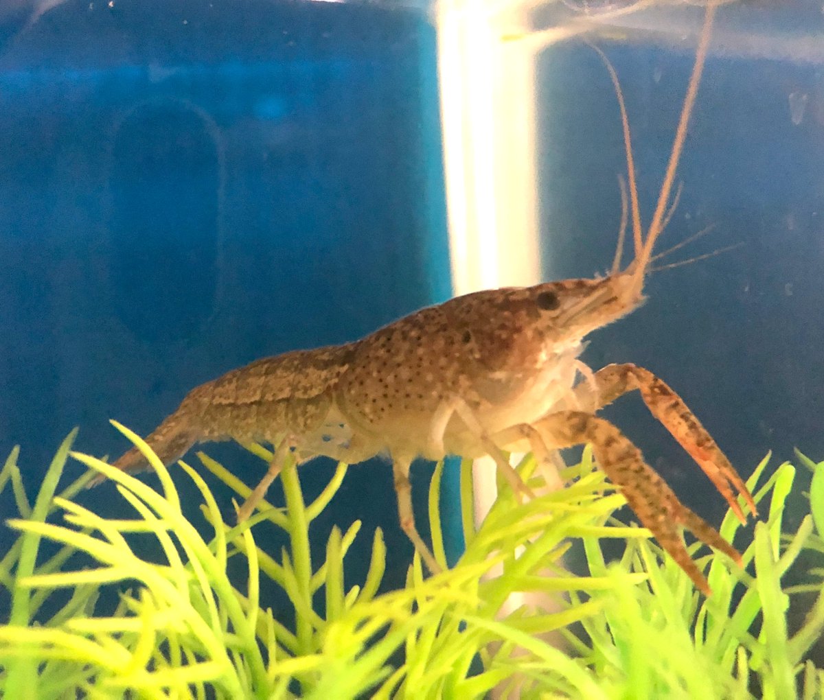 (キャプション自動取得対象外)