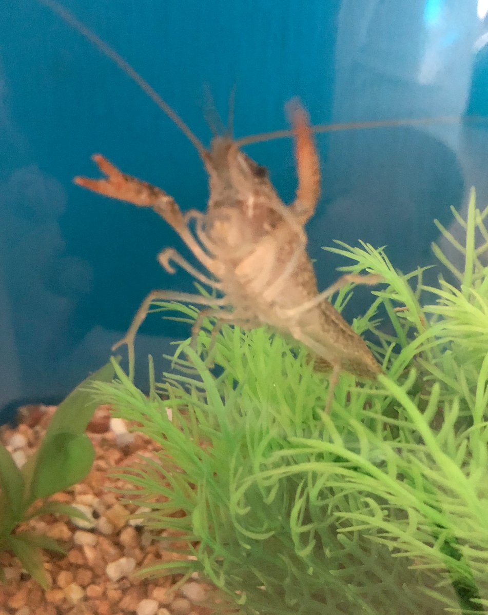 (キャプション自動取得対象外)