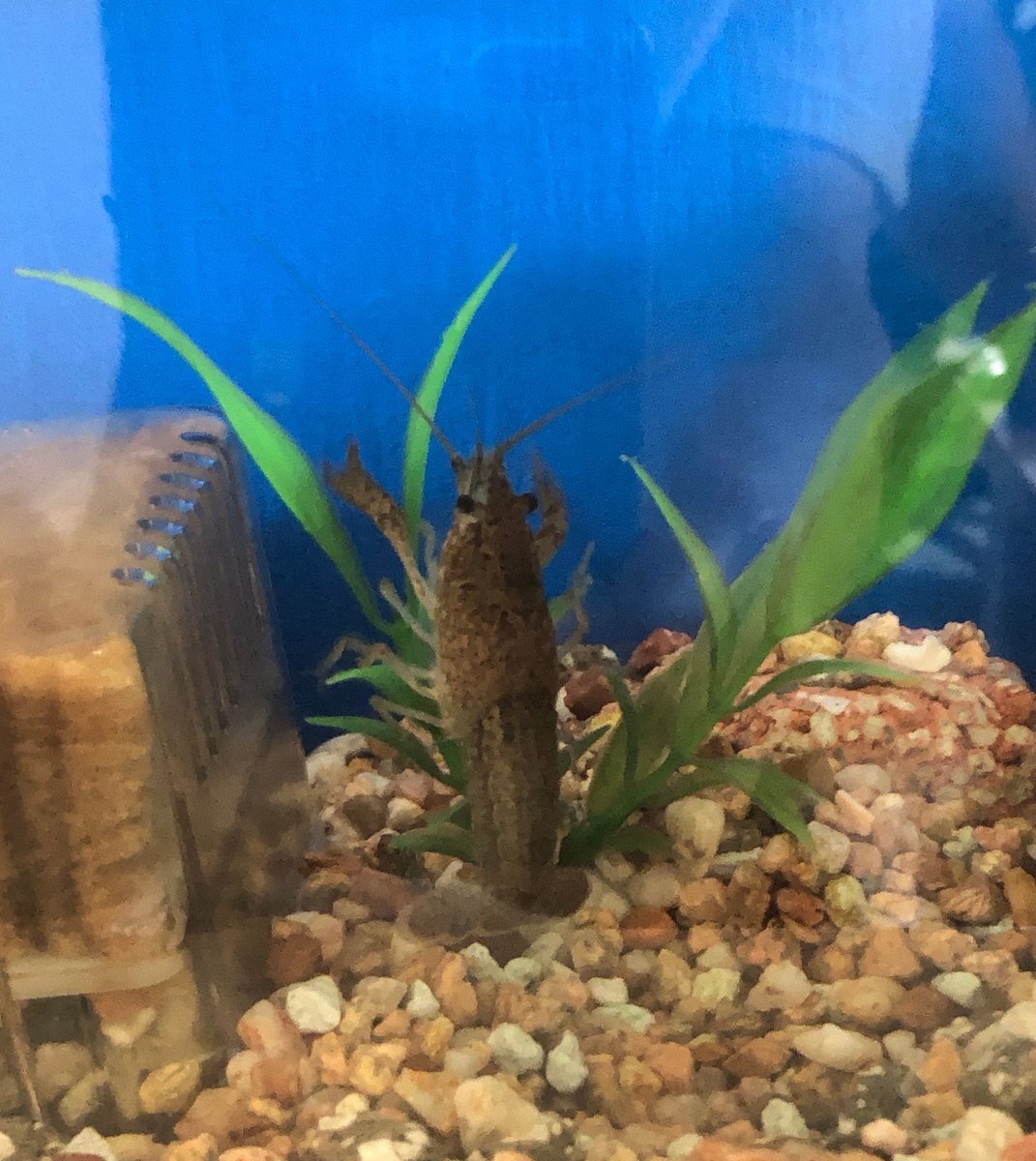 (キャプション自動取得対象外)