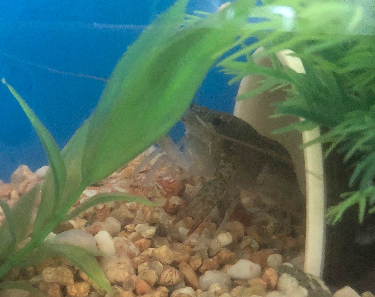 (キャプション自動取得対象外)