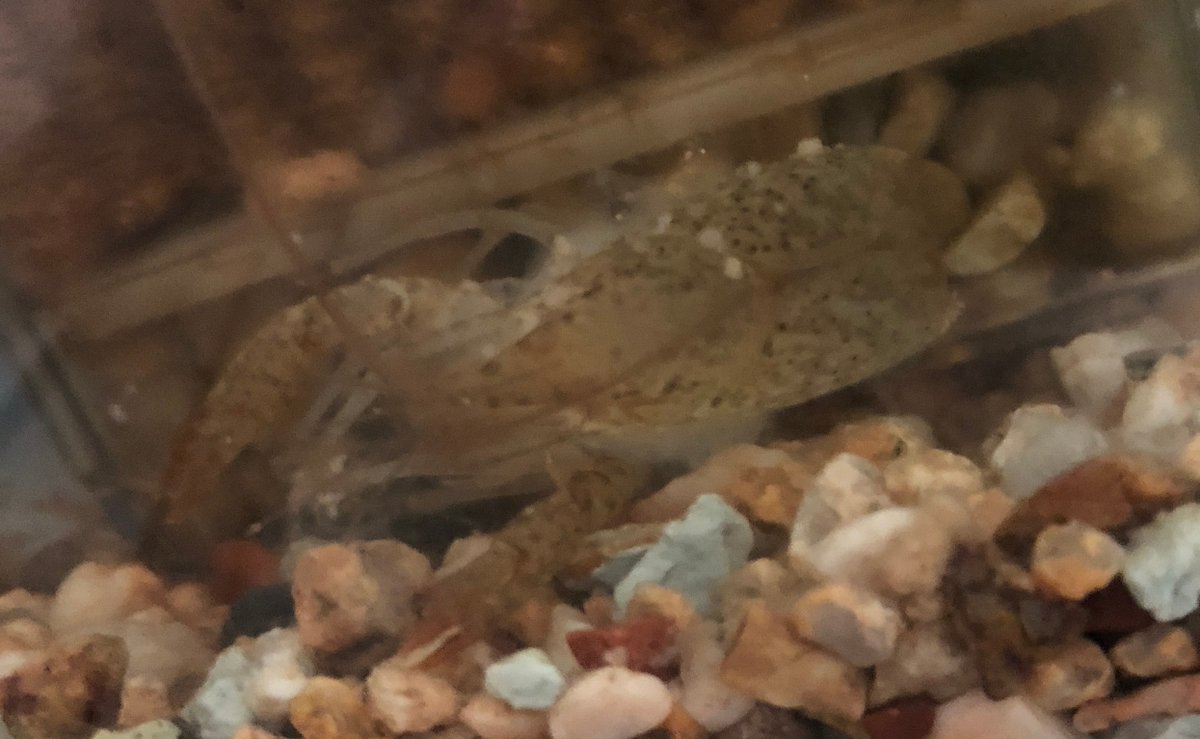 (キャプション自動取得対象外)