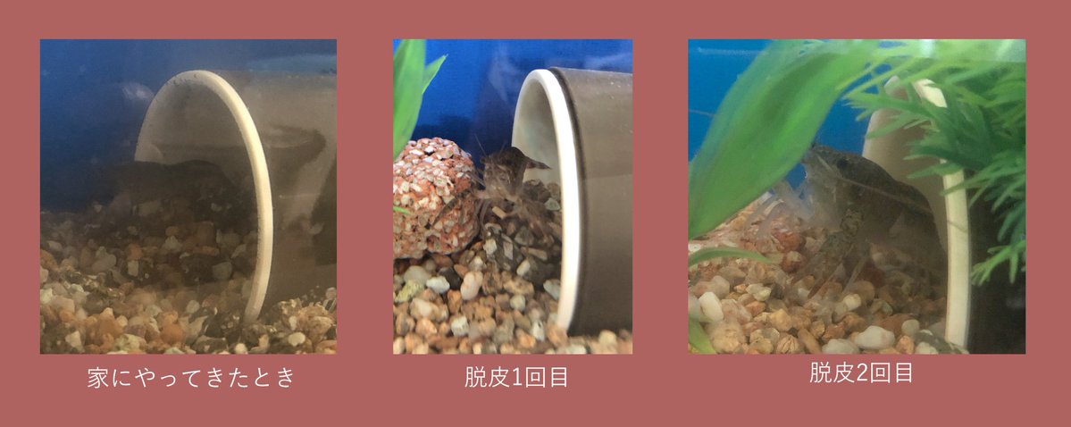 (キャプション自動取得対象外)