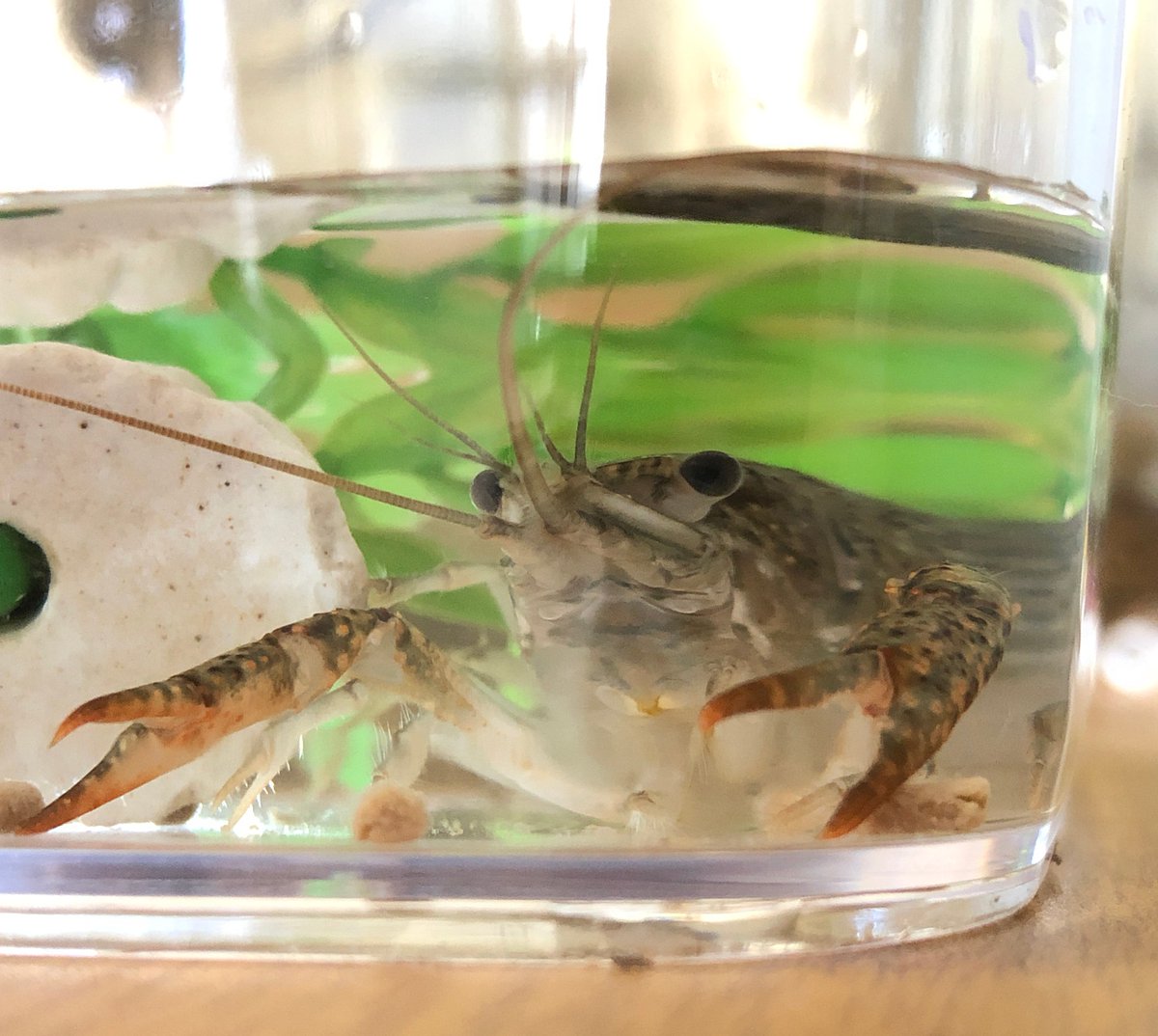 (キャプション自動取得対象外)