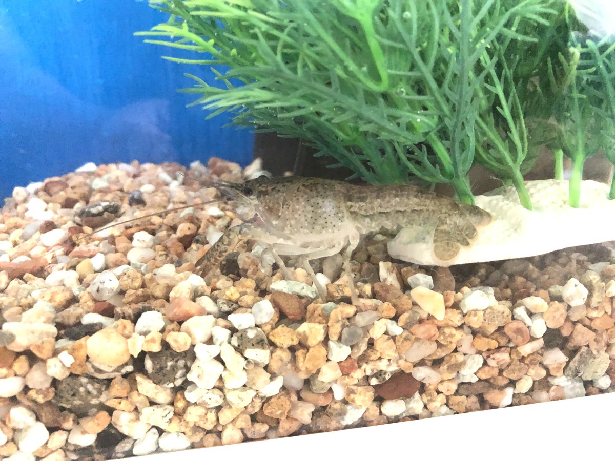 (キャプション自動取得対象外)