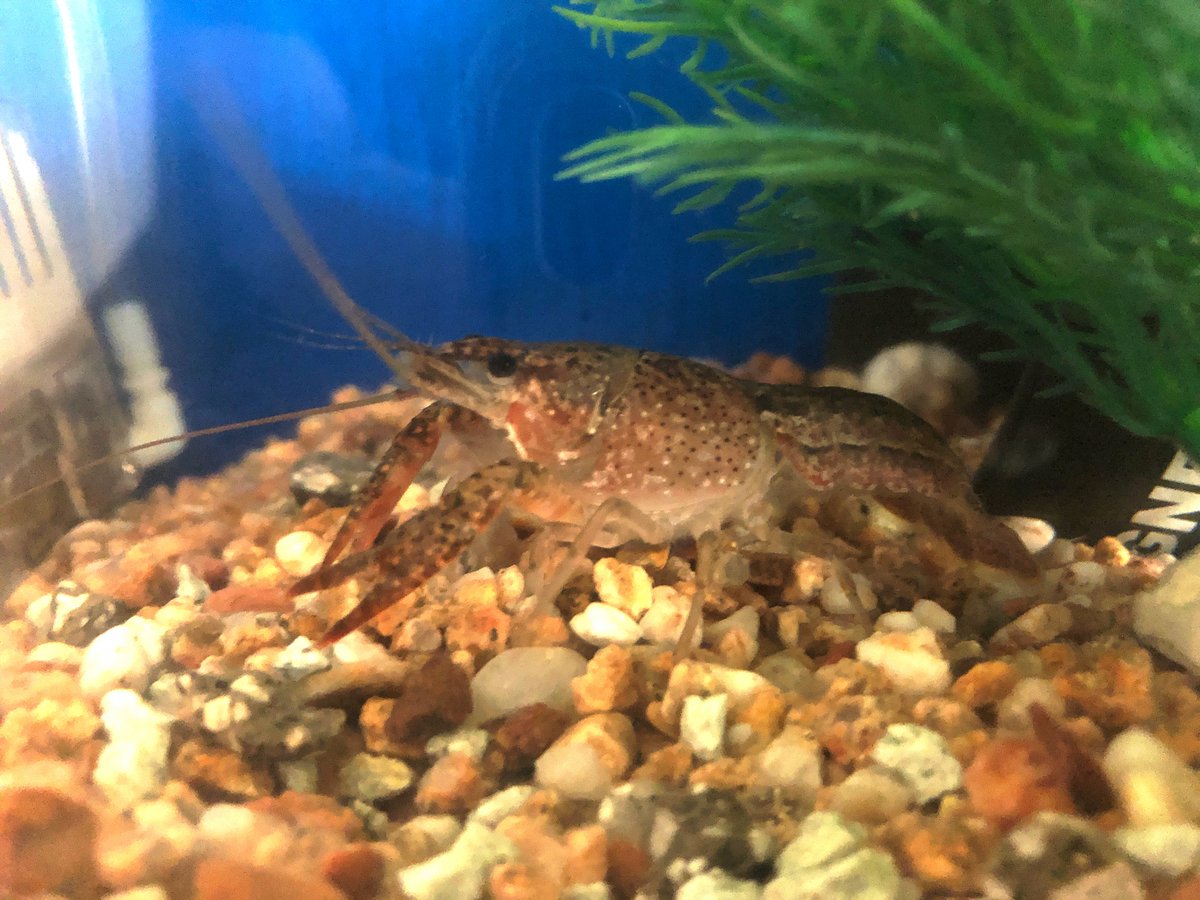 (キャプション自動取得対象外)