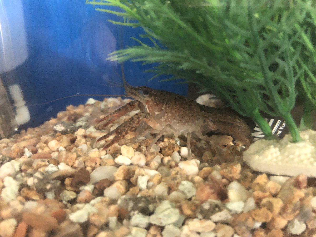 (キャプション自動取得対象外)