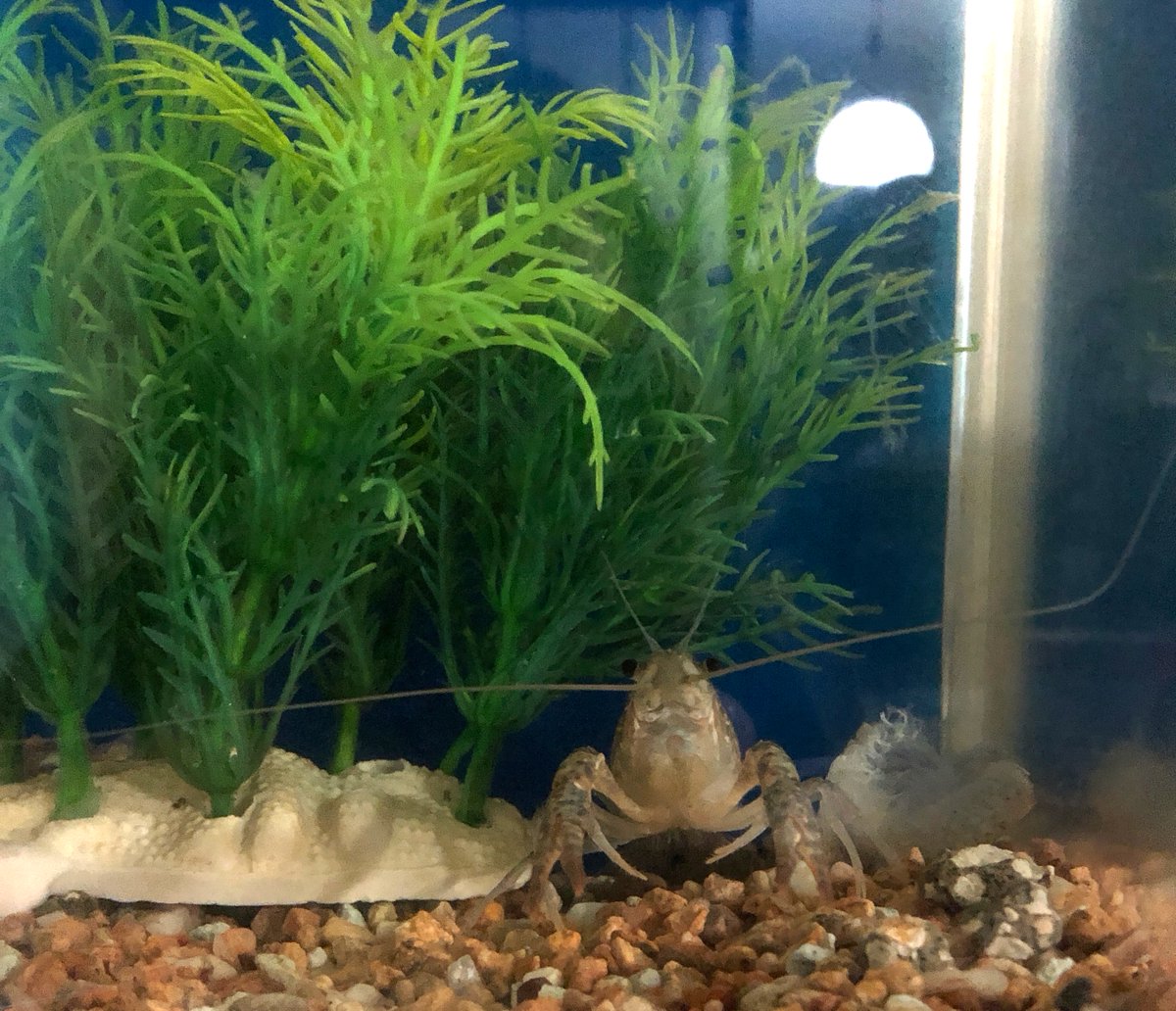 (キャプション自動取得対象外)