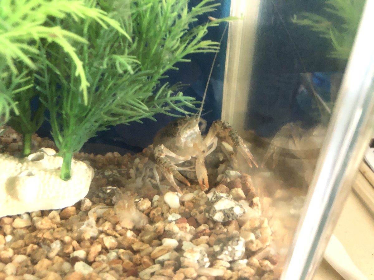 (キャプション自動取得対象外)