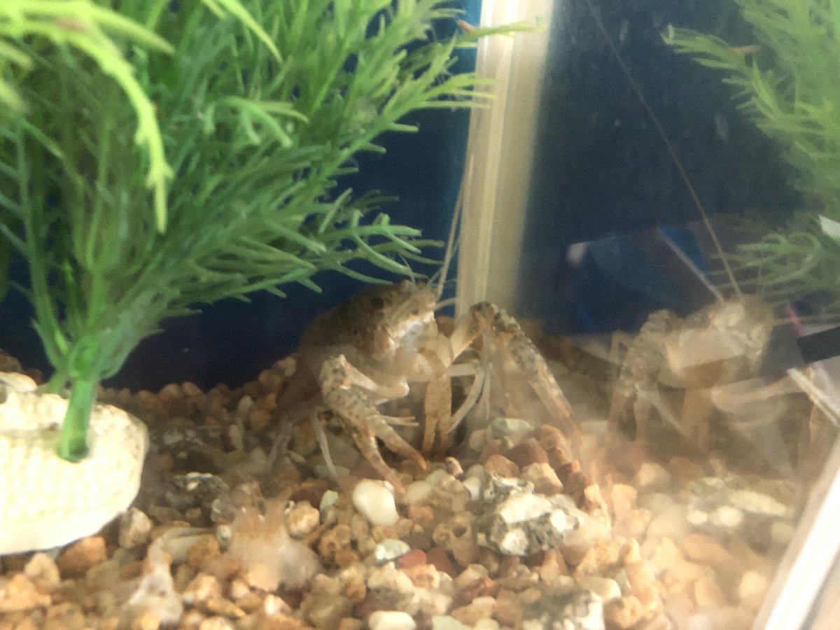 (キャプション自動取得対象外)