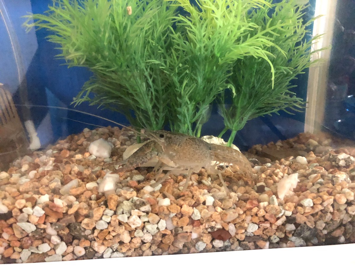 (キャプション自動取得対象外)