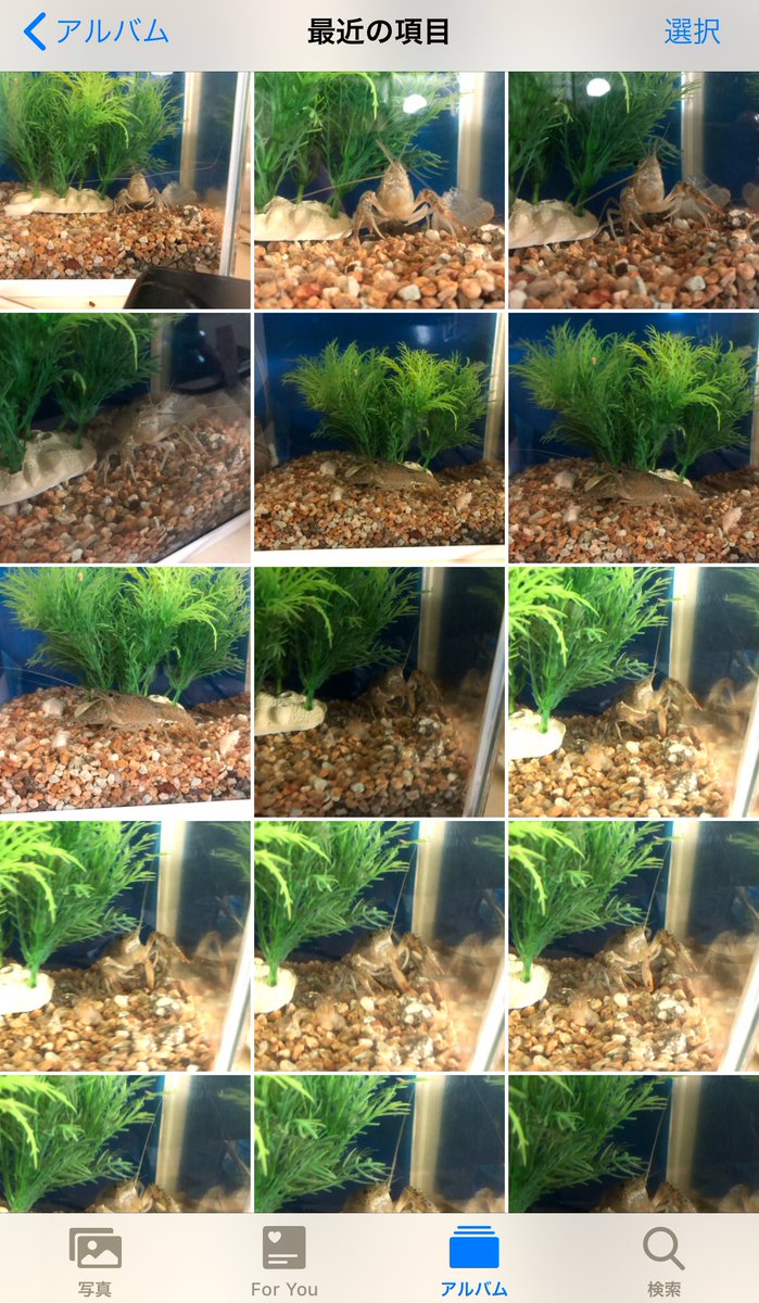 (キャプション自動取得対象外)