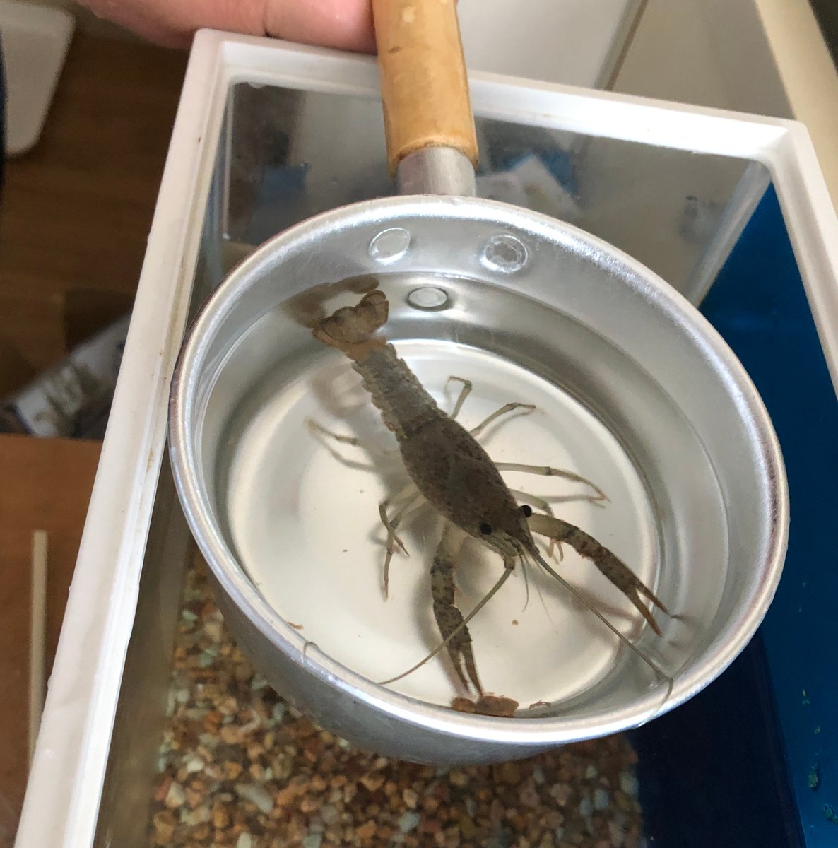 (キャプション自動取得対象外)