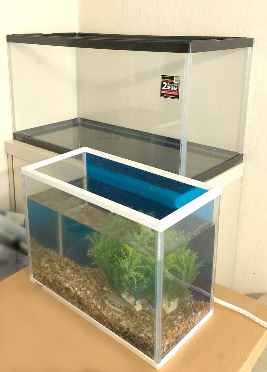 (キャプション自動取得対象外)