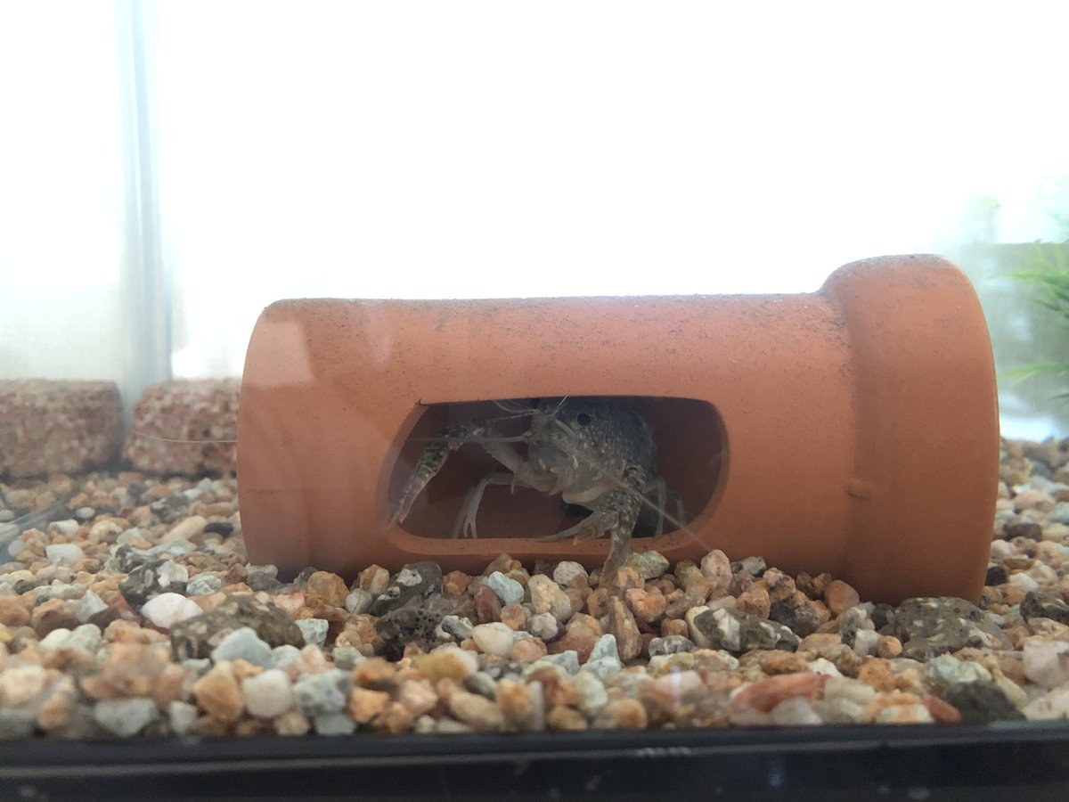 (キャプション自動取得対象外)