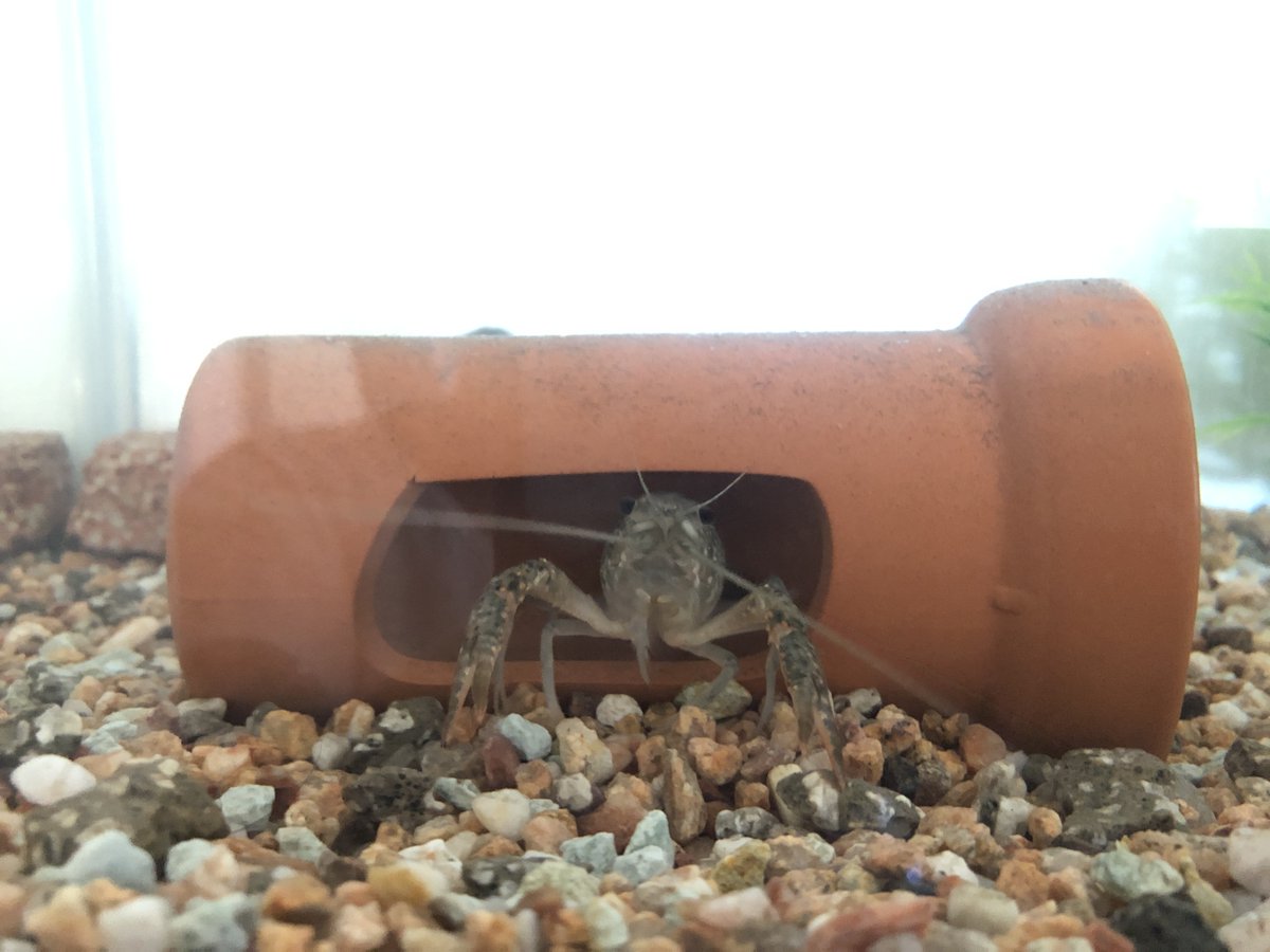 (キャプション自動取得対象外)