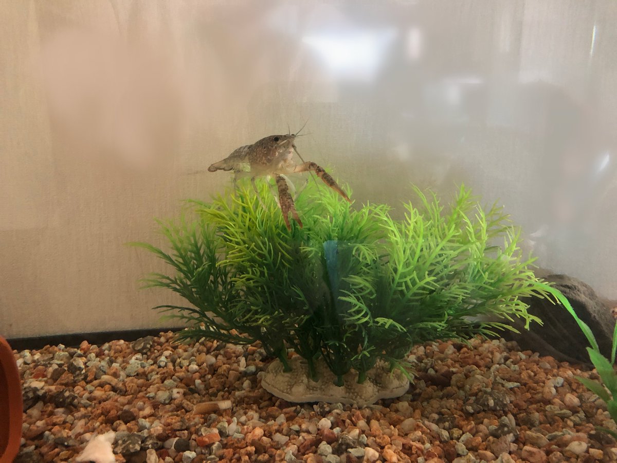 (キャプション自動取得対象外)