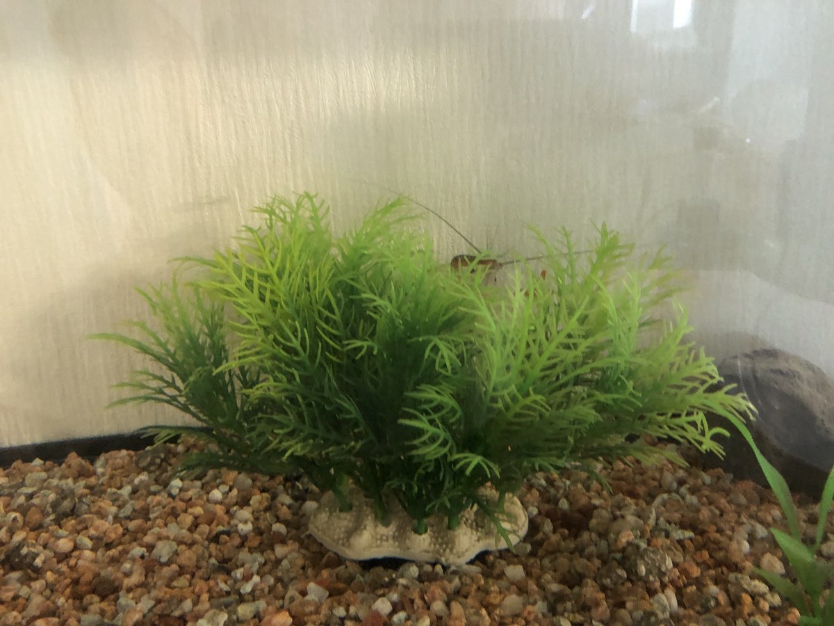 (キャプション自動取得対象外)