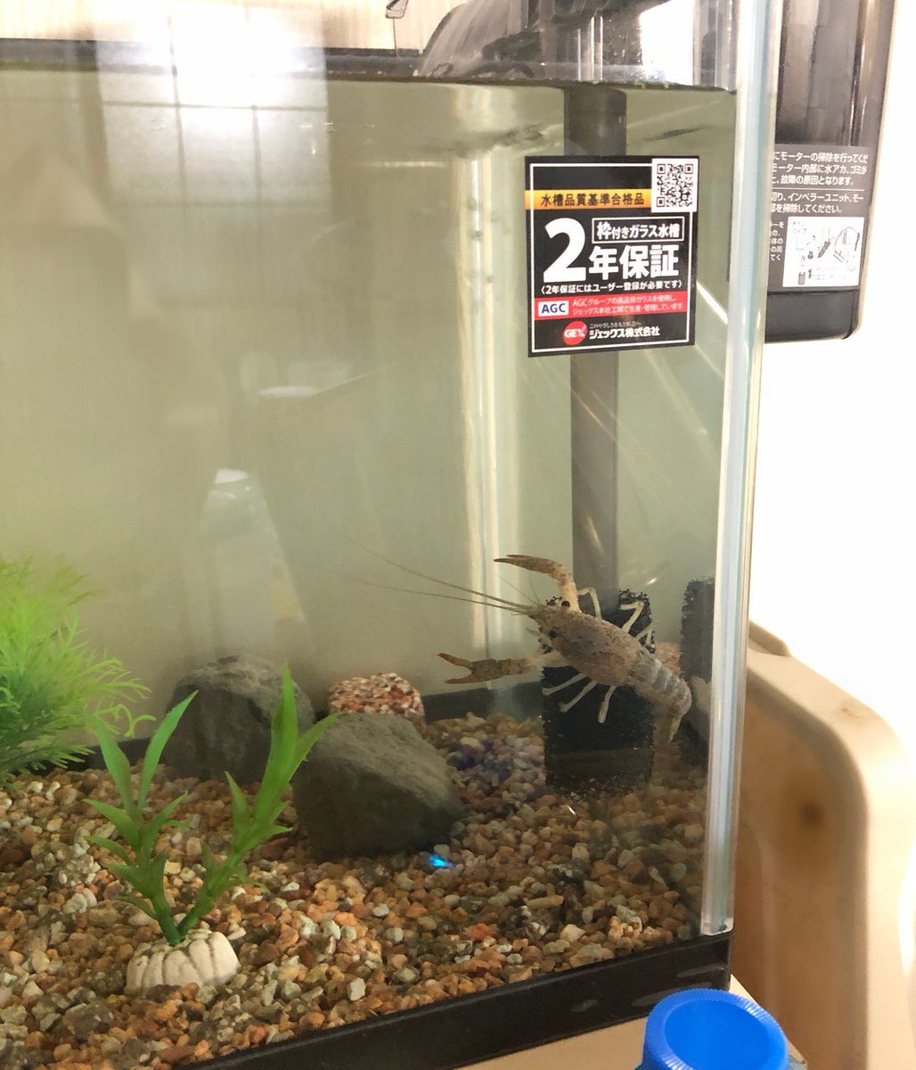 (キャプション自動取得対象外)