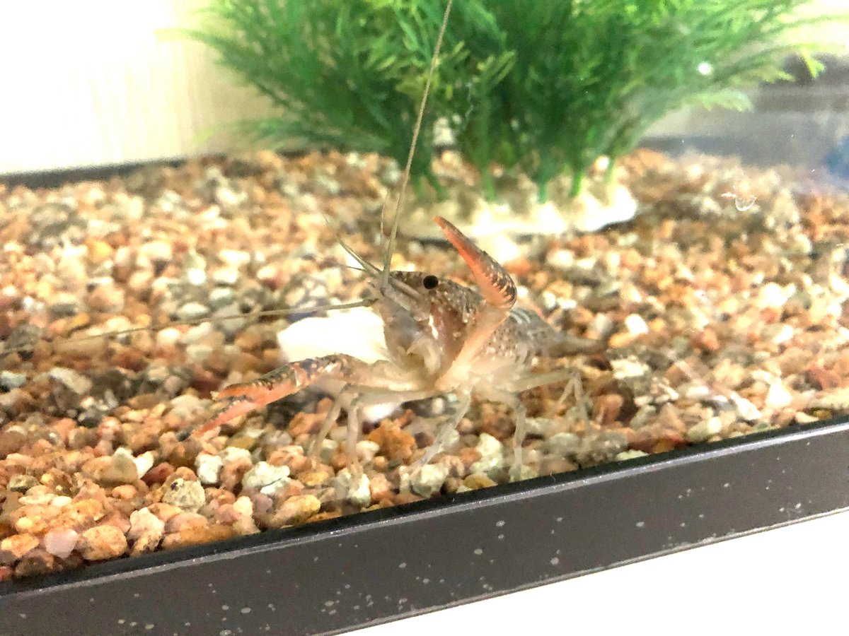 (キャプション自動取得対象外)