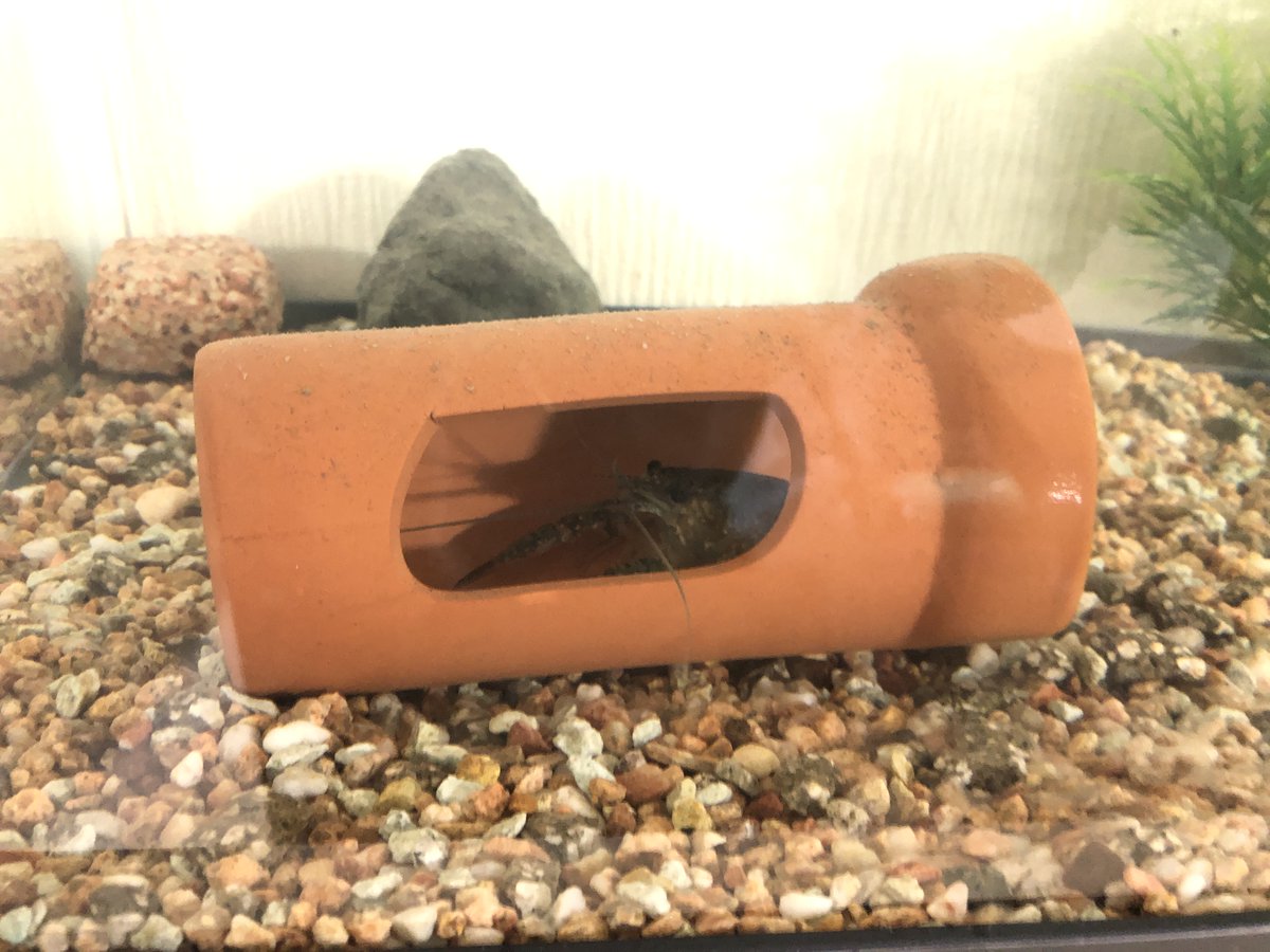 (キャプション自動取得対象外)