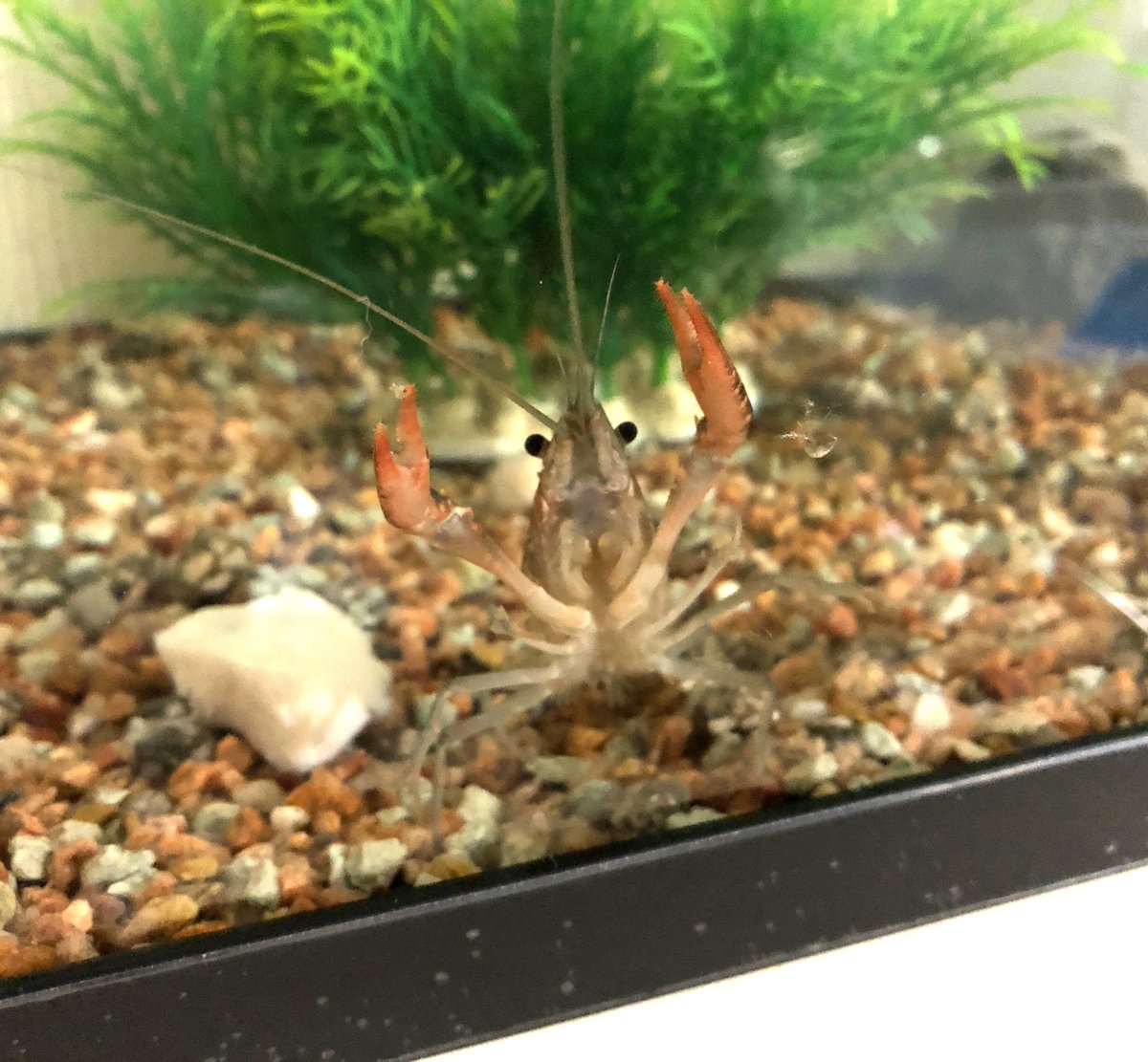 (キャプション自動取得対象外)