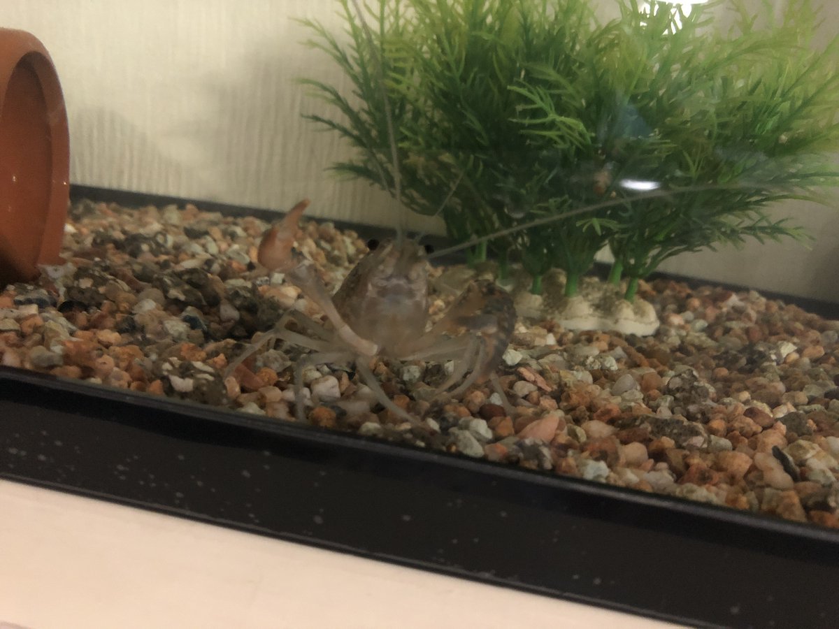 (キャプション自動取得対象外)