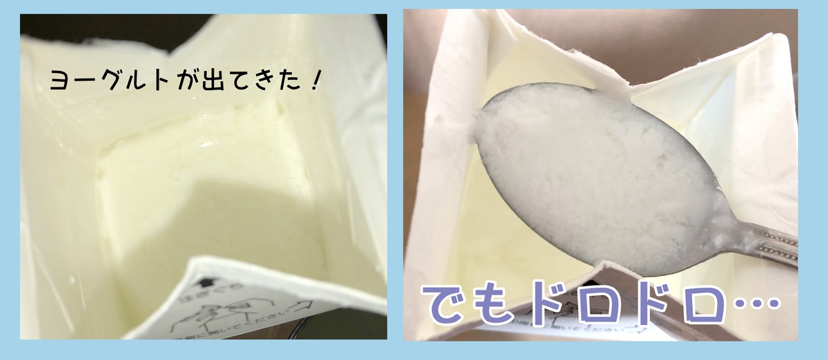 低脂肪牛乳実験2